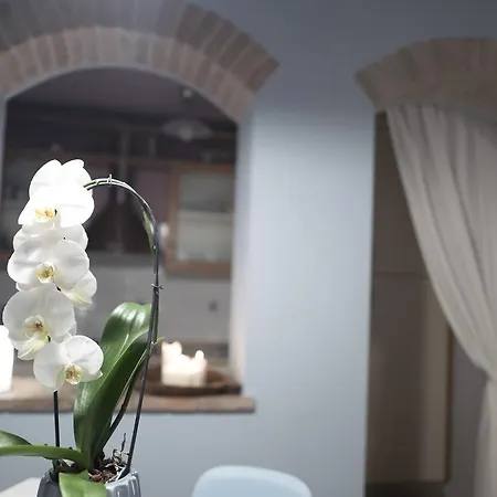 Vicolobellisei Apartment Longiano